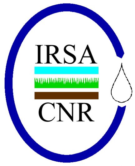 IRSA logo